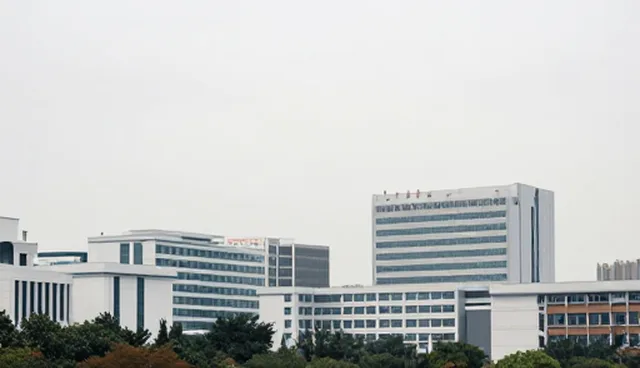 信息平台建设：技术咨询在维护建议中的关键作用